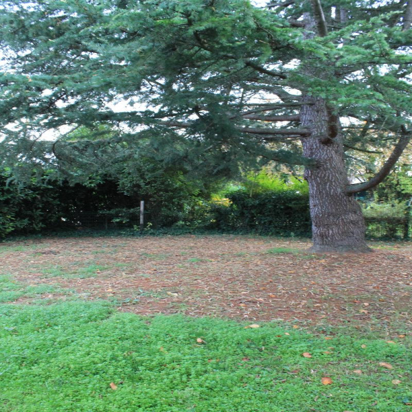 Offres de location Maison Eysines 33320